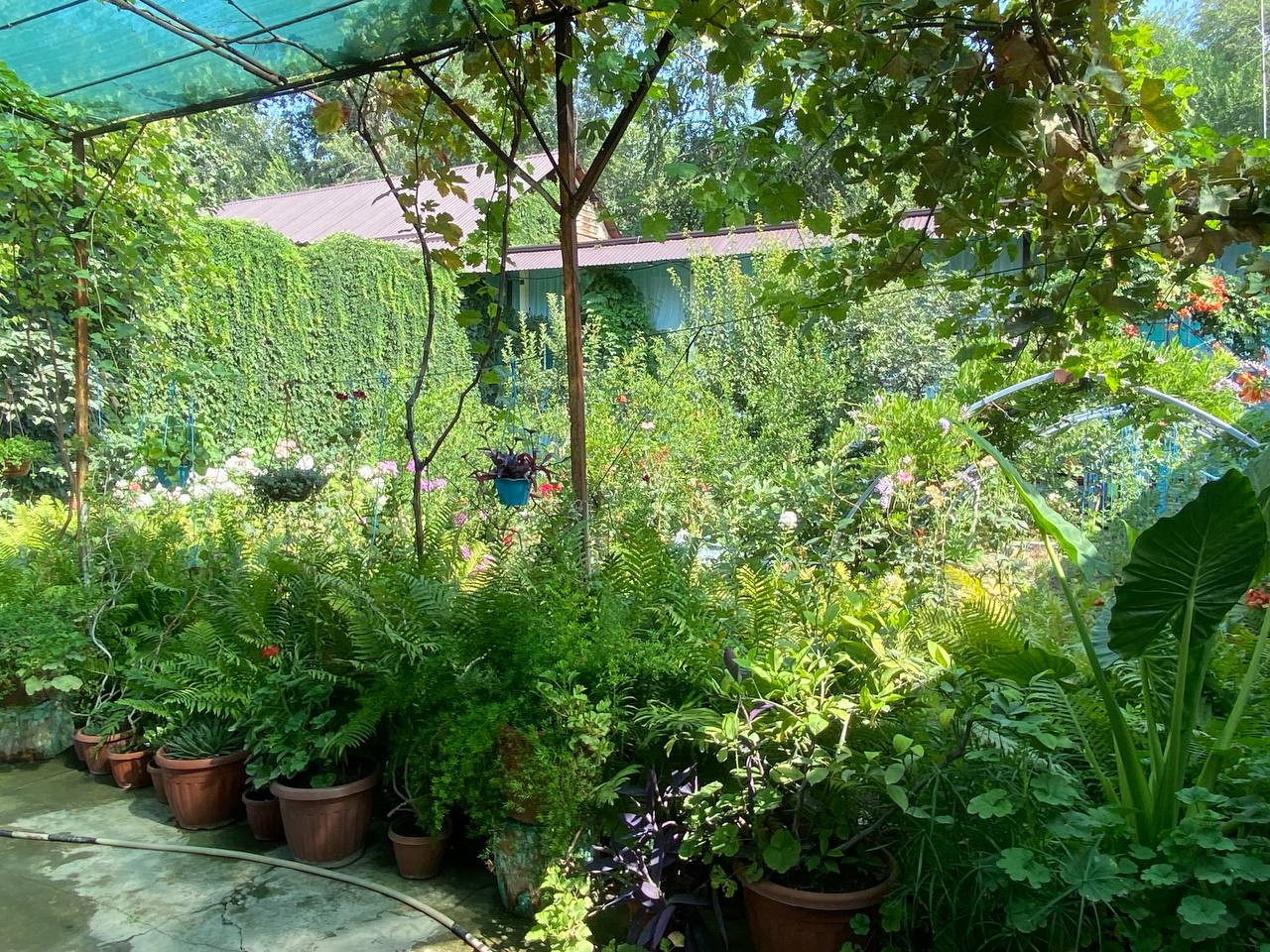 ⭐️ Uy mehmonxona Oddiy